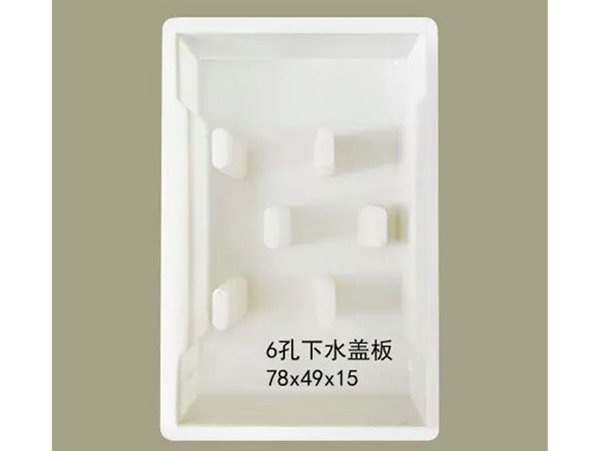 长条孔沟盖板模具 (14)