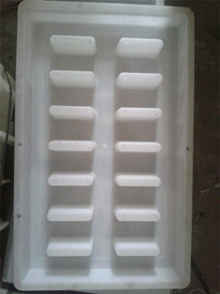 长条孔沟盖板模具 (11)