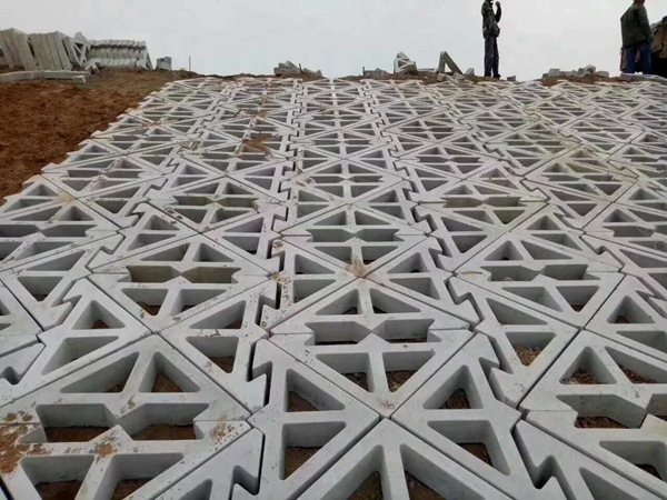 生态护坡模具 (5)