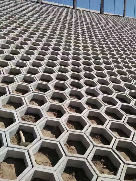 六角护坡模具 (4)