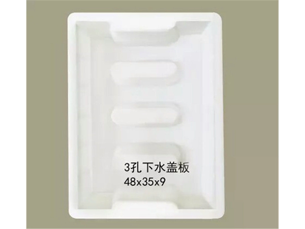 长条孔沟盖板模具 (13)