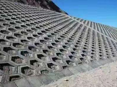 六角护坡模具 (6)